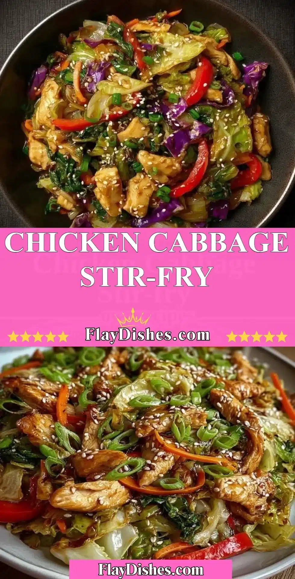 Chicken Cabbage Stir-Fry 2 Healthy Chicken Cabbage Stir-Fry on a plate, garnished with green onions.