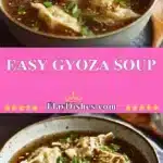 easy gyoza soup 2025 11 29 191309 150x150 1