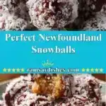perfect newfoundland snowballs 2025 11 25 174657 150x150 1