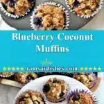 blueberry coconut muffins 2025 12 06 234127 150x150 1