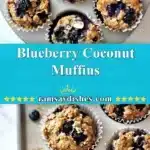 Blueberry Coconut Muffins 3 blueberry coconut muffins 2025 12 06 234137 150x150 1