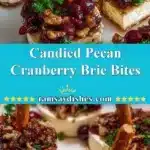 Candied Pecan Cranberry Brie Bites 3 candied pecan cranberry brie bites 2025 12 19 005645 150x150 1