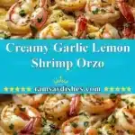 creamy garlic lemon shrimp orzo 2025 12 25 011540 150x150 1