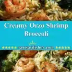 creamy orzo shrimp broccoli 2025 12 19 005545 150x150 1