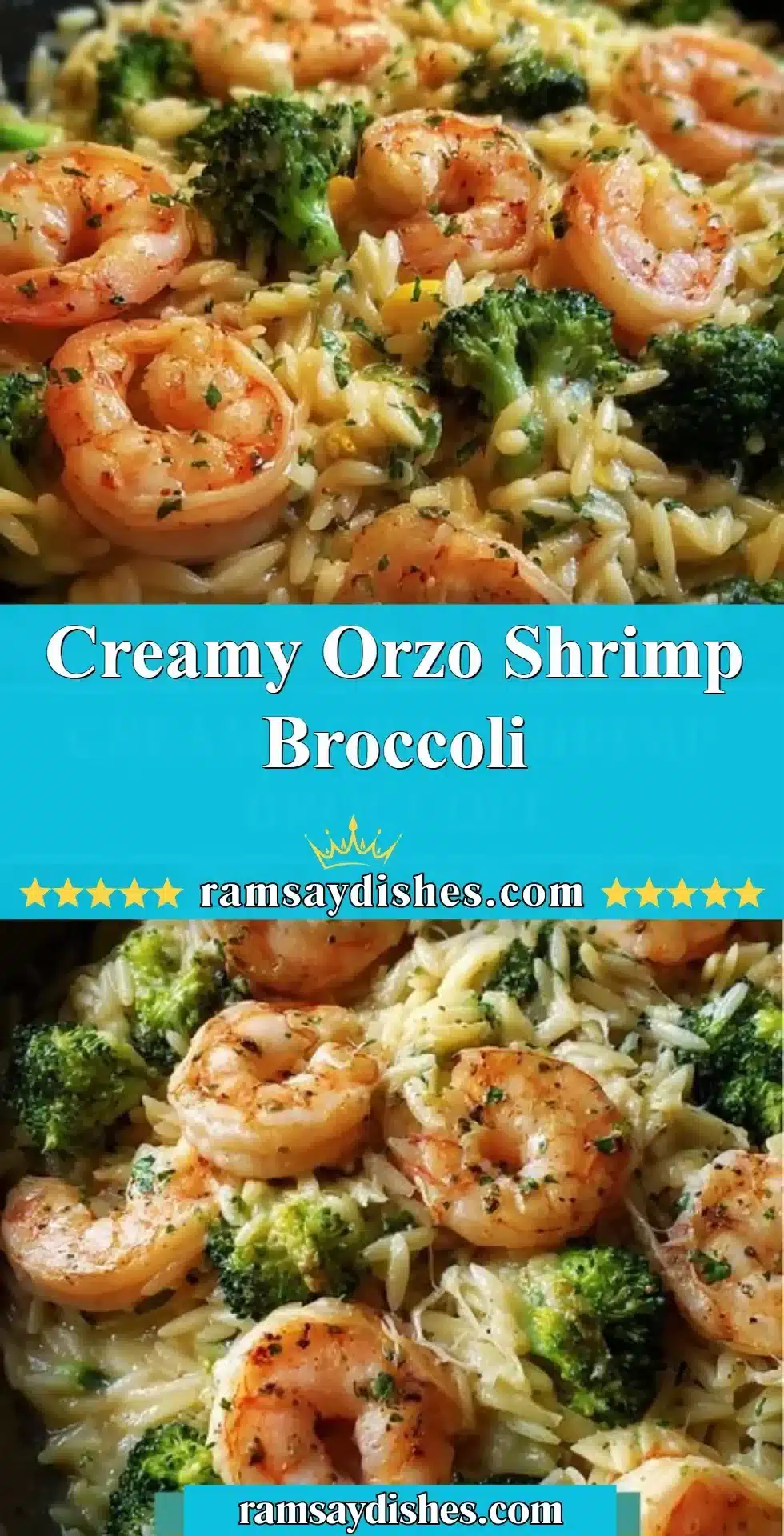 Creamy orzo with shrimp and broccoli in a fresh creamy sauce.