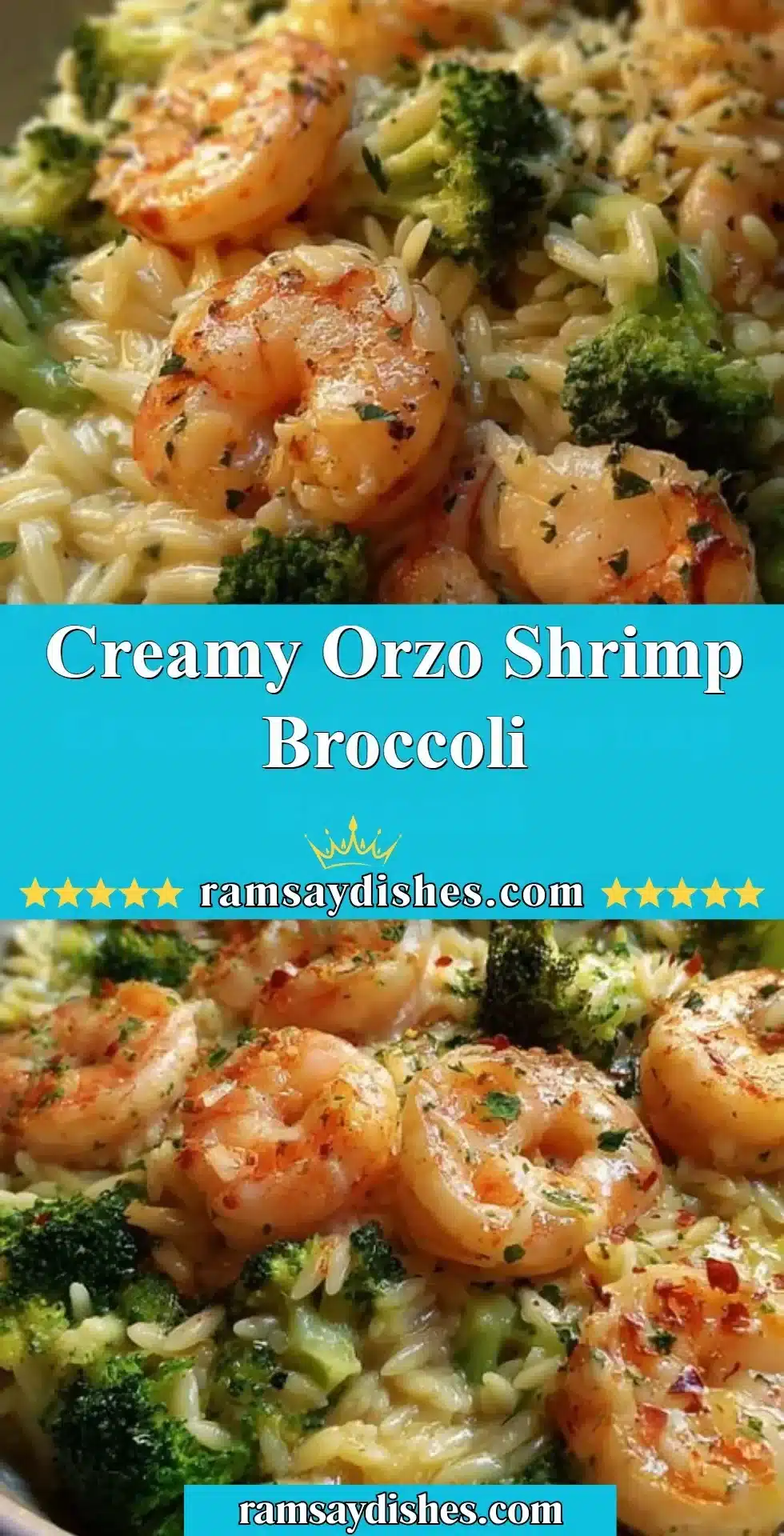 Creamy orzo shrimp with broccoli in a rich sauce