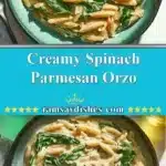 creamy spinach parmesan orzo 2025 12 06 234141 150x150 1