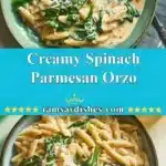 creamy spinach parmesan orzo 2025 12 06 234153 150x150 1