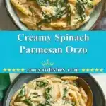 Creamy Spinach Parmesan Orzo 3 creamy spinach parmesan orzo 2025 12 06 234204 150x150 1
