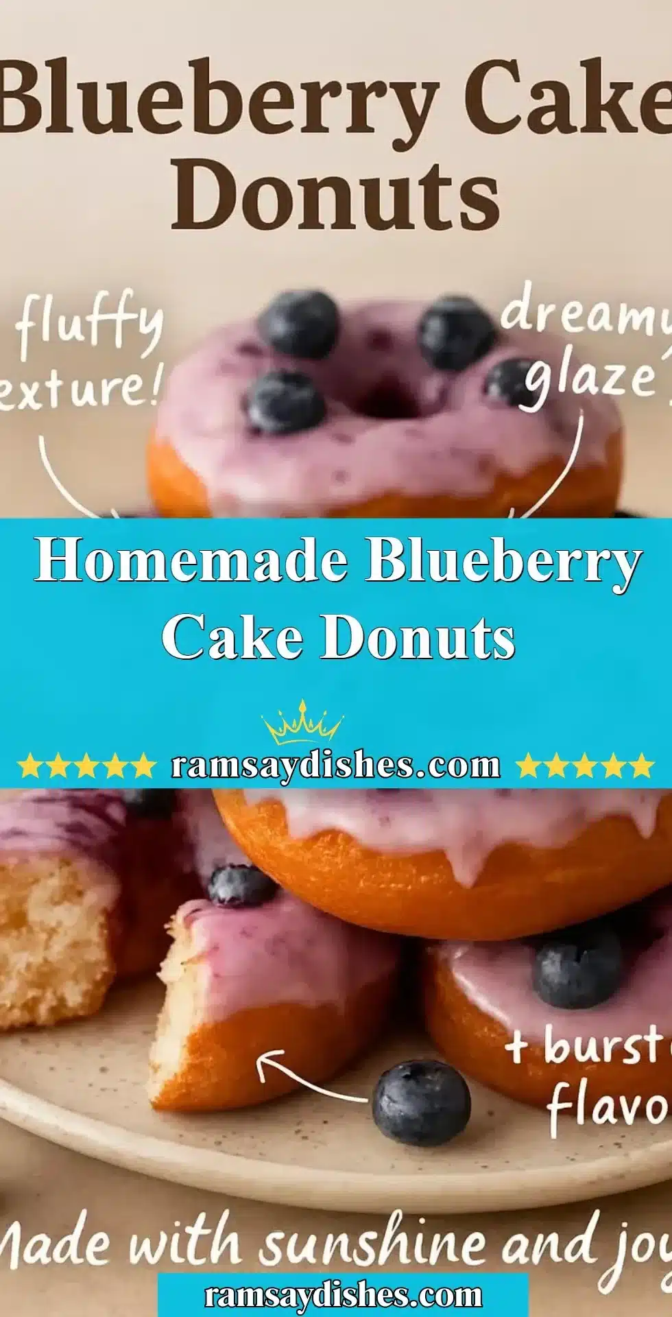 Homemade Blueberry Cake Donuts 2 Homemade blueberry cake donuts fresh from the oven