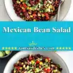 Mexican Bean Salad 3 mexican bean salad 2025 12 06 234134 150x150 1