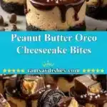 Peanut Butter Oreo Cheesecake Bites 3 peanut butter oreo cheesecake bites 2025 12 19 005535 150x150 1