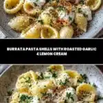 Burrata Pasta Shells 3 burrata pasta shells 2026 01 11 004538 1