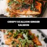 Crispy Scallion Ginger Salmon 3 crispy scallion ginger salmon 2026 01 11 004553 1