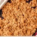 Apple Blueberry Crisp 3 apple blueberry crisp 2026 02 01 232646 1