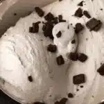 Homemade Mint Chocolate Chip Ice Cream 3 homemade mint chocolate chip ice cream 2026 02 01 232647 1