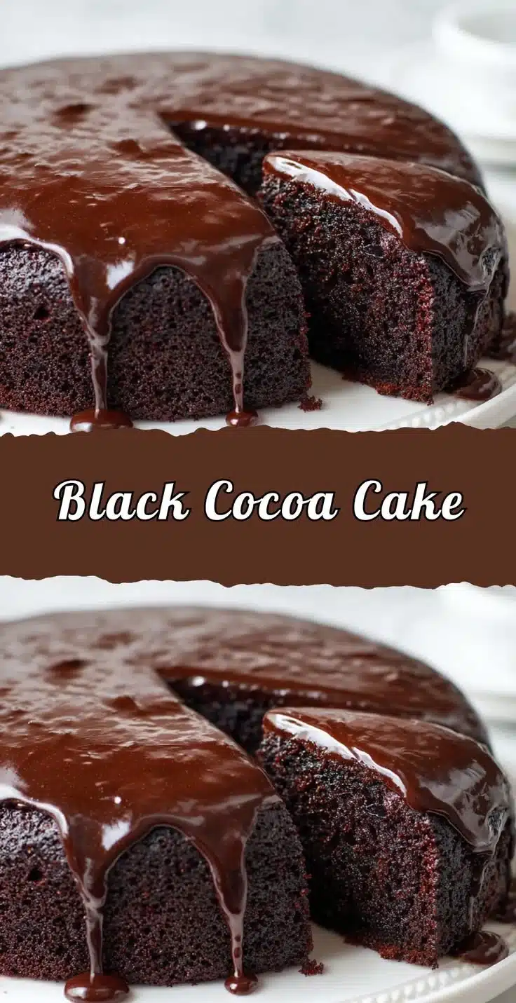 Delicious slice of Black Cocoa Cake with chocolate frosting and dark cocoa powder.