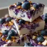 blueberry frozen cottage cheese bark 2026 03 31 030153 1