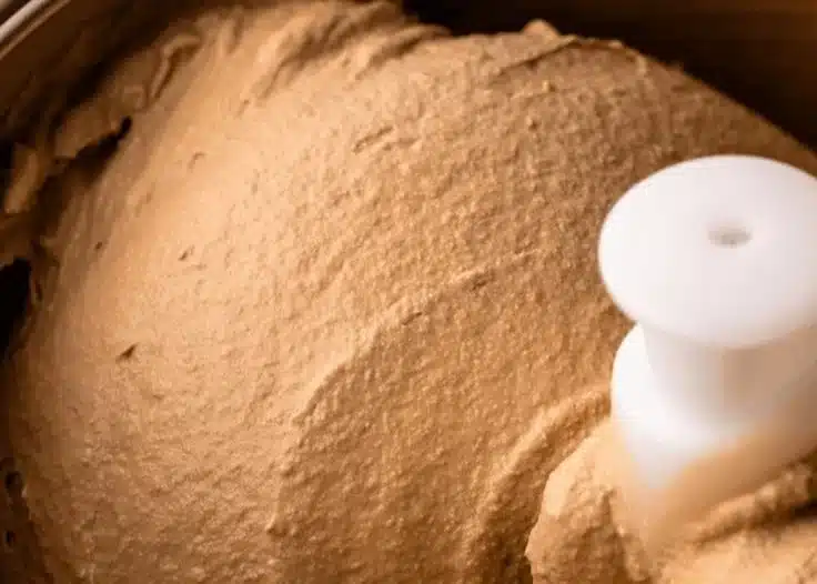 Bowl of homemade coffee ice cream topped with coffee beans