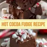 homemade hot cocoa fudge 2026 03 24 002153 1