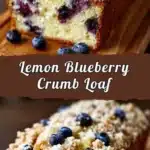 lemon blueberry crumb loaf 2026 03 24 002122 1