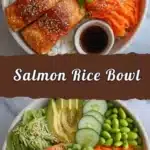 salmon rice bowl 2026 03 24 002207 527x1024 1