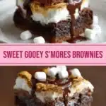 smores brownies 2026 03 24 002236 512x1024 1